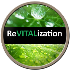 rsz_revitalization